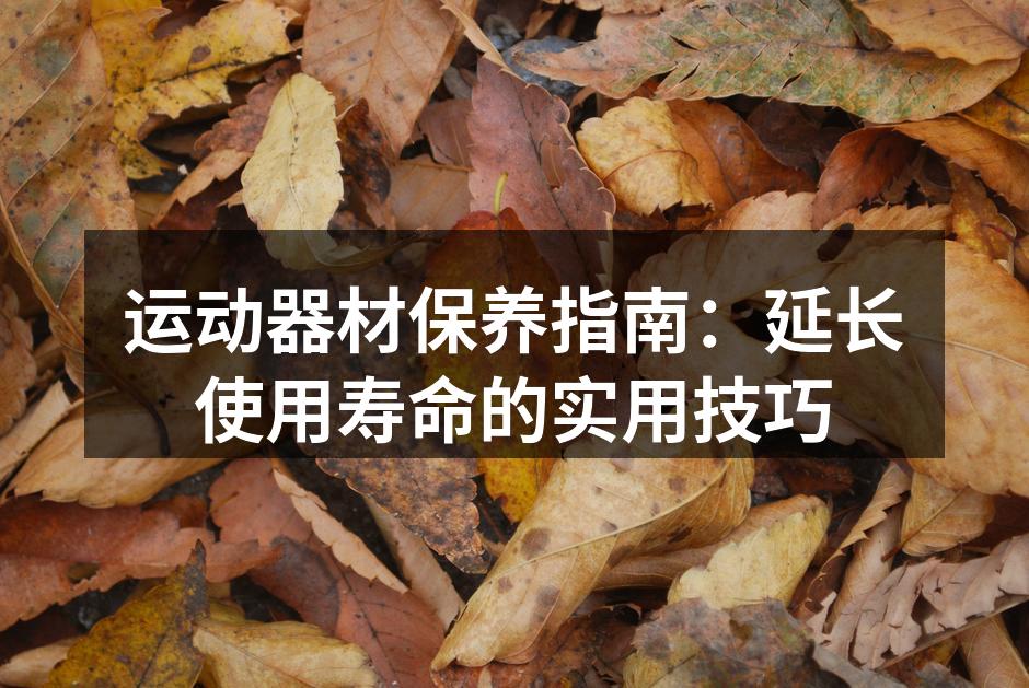 定期清洁跑步机,确保高效运行