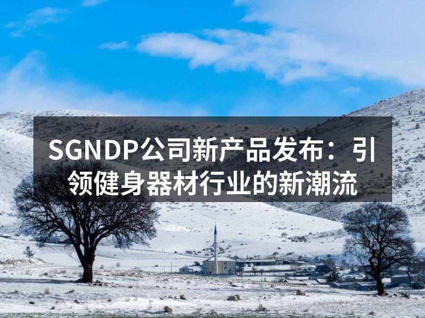 SGNDP新产品发布会现场盛况。