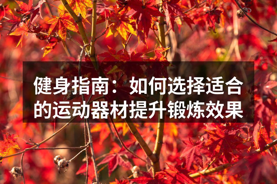 健身指南：如何选择适合的运动器材提升锻炼效果